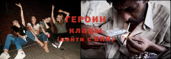 прущие грибы Апатиты