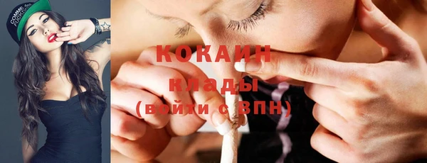 дурь Бердск