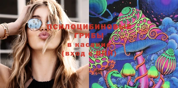 прущие грибы Апатиты