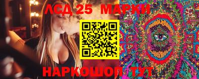 ПСИЛОЦИБИНОВЫЕ ГРИБЫ Боровичи