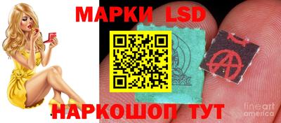 стафф Брянск