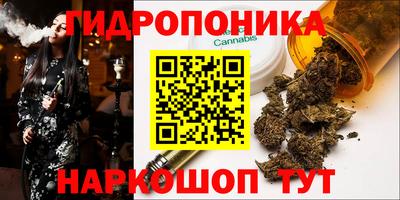 стафф Брянск