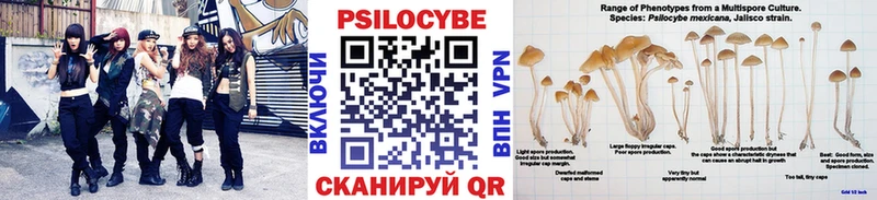 Псилоцибиновые грибы GOLDEN TEACHER  Усть-Лабинск 