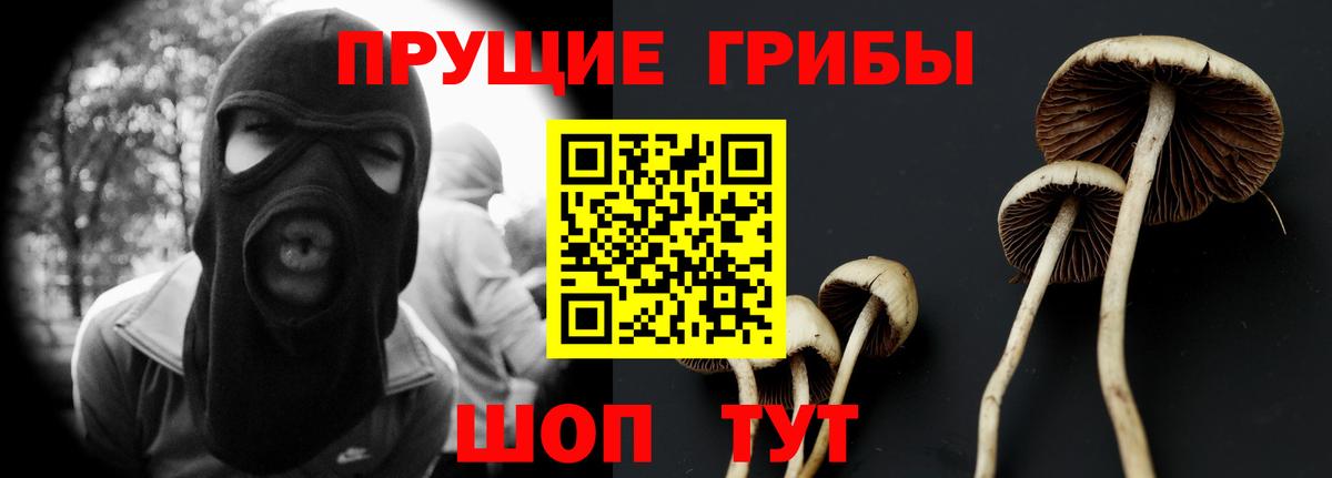 Псилоцибиновые грибы Magic Shrooms Усть-Лабинск